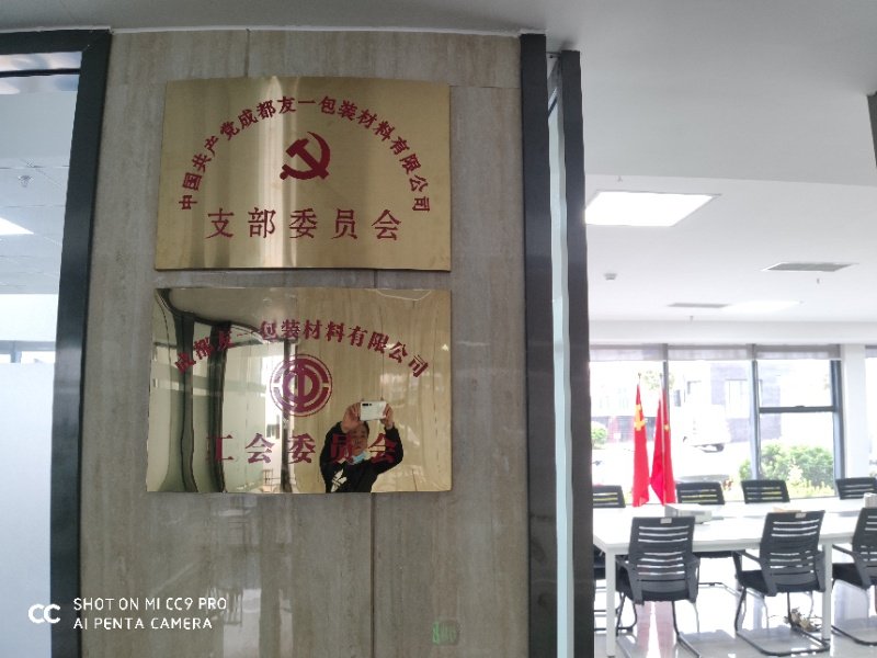 热烈祝贺888集团电子游戏集团成都分公司党支部在2020年3月11日授牌建设，，，，，支部书记曹云(行政部司理)